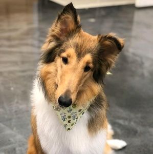 Meet your Posher, Kaitlyn